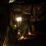 PsychoWard2010 (16)