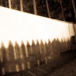 PsychoWard2010 (37)