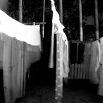 PsychoWard2010 (48)
